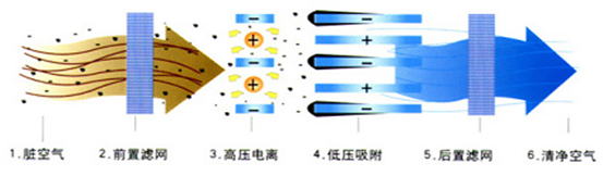 &#20048;&#31454;&#23448;&#32593;&#45;&#20048;&#31454;&#40;&#20013;&#22269;&#41;&#19968;&#31449;&#24335;&#20307;&#32946;&#26381;&#21153;